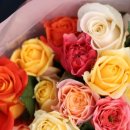 종화농장 이미지