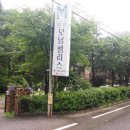 모닝펠리스 이미지