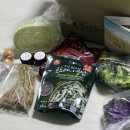 푸른솔농장3 이미지