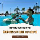 [내돈내산 장단점 요약] 헬렌카민스키 마이 vs 비앙카 비교 (비앙카 샀다가 결국 마이 재구매)