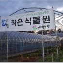 박주원농장 Daum카페