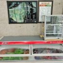 WG스포츠파크고성 이미지