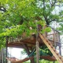 라온디자인 이미지