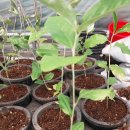 웅기농장 이미지