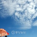 파란테크