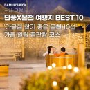 온천단지 이팝나무길 | [주말 여행지 추천] 2025 가을 온천 여행지 추천: 단풍 구경과 힐링을 한 번에!