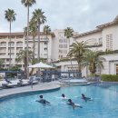 제주와요 이미지