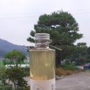 달빛골 초미