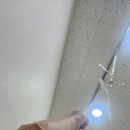 [반달일상]2504_2