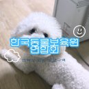 서울동물 | 서울강아지무료분양 입양후기, 동물보육원에서 시작된 변화