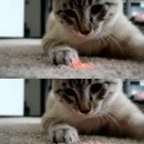 살랑살랑 이미지