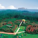 sos박물관 이미지