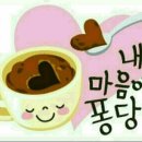 마음퐁당 이미지
