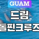 돌핀 이미지