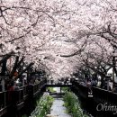 진해구 ⓒ-30 이미지