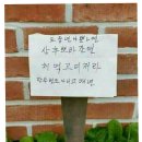 뽀바뽀바 이미지