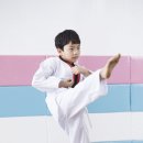 코리아 익스트림 태권도 이미지