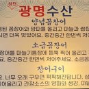 하단꼼장어