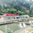 어라연송어횟집 이미지