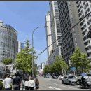 청파로(서측) 이미지