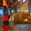 270-3051 | [23년03월] 아시아나cc 동 In-Out 코스 후기(블루티)