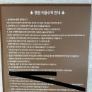 2020스파&풀빌라 이미지