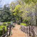 임학공원(임학정) 이미지