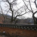 위양리 학산정사 이미지