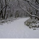 한라산 설경을 보러 오세요 이미지