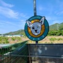 아이스홀릭 정관점 이미지