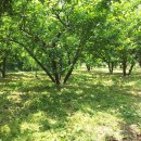 성실농원 이미지