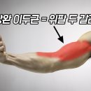 휘트니스 팜 마곡센터 이미지