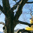 대불경로당 이미지