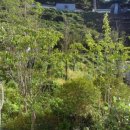 명곡동197 이미지