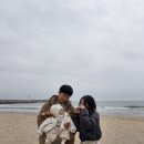 GS25인후거성점 | 양양 아기랑 가기좋은 숙소 글림풀빌라