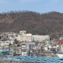 수색초등(병설) 이미지