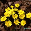 아지랑이 이미지