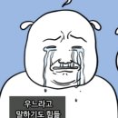 스마일약국 | 부산 스마일 라식 프로 수술 과정 당일후기