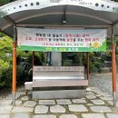 수락 캠핑장 이미지