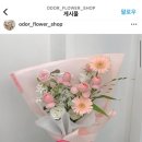 오도르플라워 이미지