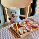 니나노 제주 이미지