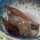 꿈나무 | [대전]둔산동 맛집 오마카세 숙성사시미 전문점 "소리"ft.런치 가이세키 오마카세후기