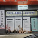 보람웰빙 이미지