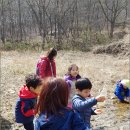 수원-1241 이미지