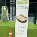 장승배기ㅣ’샐러데이즈 장승배기점’ 이틀 연속 방문! 포장 후기