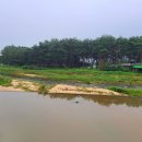 장풍숲입구 이미지