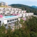 비고리조트 8 이미지