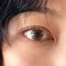엘르린