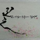 캘리그라피 이미지