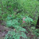 용전보건진료소 이미지